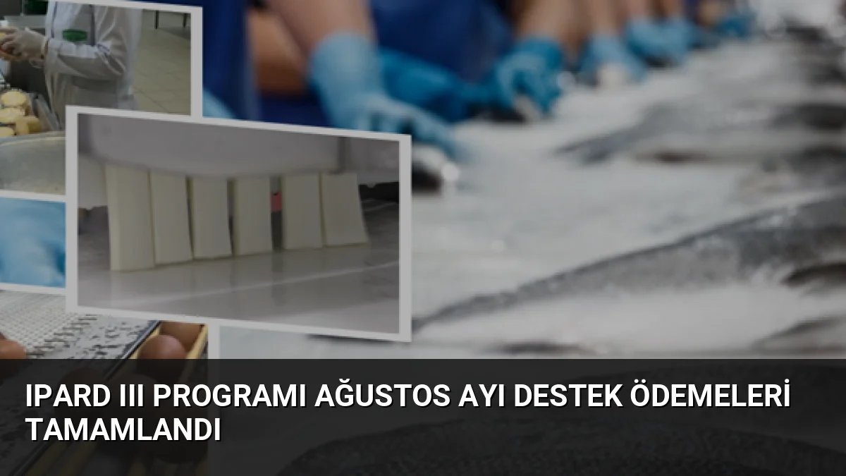 Tarım ve Orman Bakanlığı, IPARD-III Programı kapsamında ağustos ayında üretici