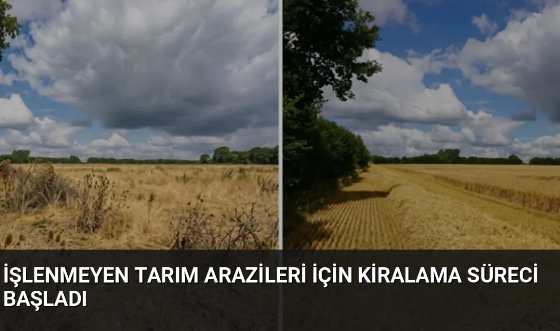 Üst üste iki yıl ekilmeyen tarım arazilerinin üretime kazandırılması için
