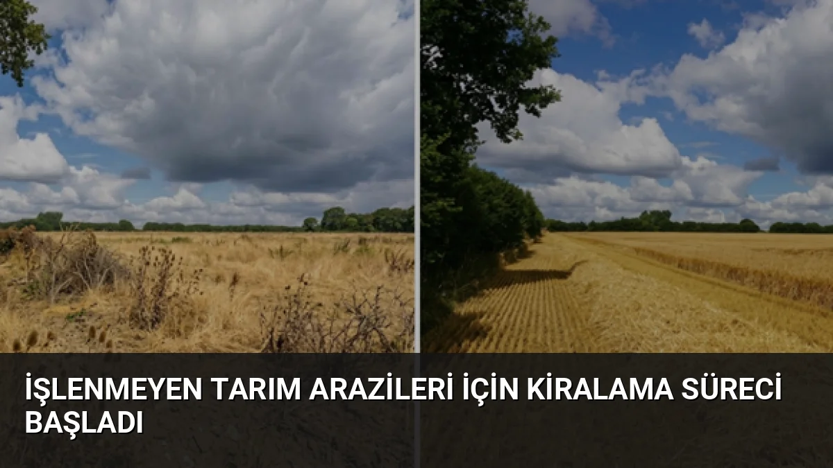 Üst üste iki yıl ekilmeyen tarım arazilerinin üretime kazandırılması için