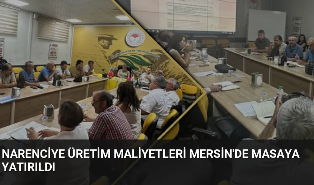 Mersin'de düzenlenen toplantıda, 2026 narenciye sezonu üretim maliyetleri ve TAMSİS