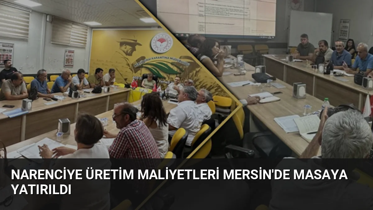 Mersin'de düzenlenen toplantıda, 2026 narenciye sezonu üretim maliyetleri ve TAMSİS