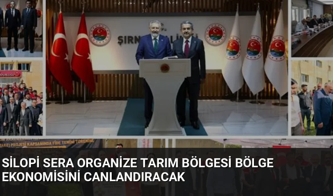 Şırnak'ta hayata geçirilen 947 dekarlık Silopi Sera OTB projesi, 1,2