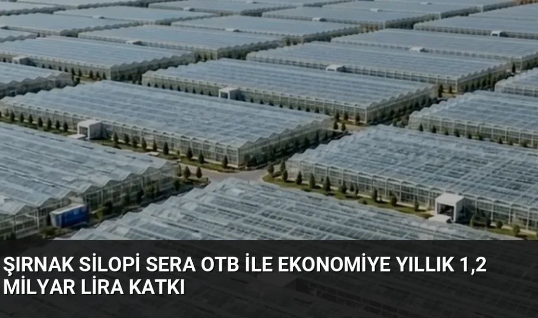 Tarım ve Orman Bakanı İbrahim Yumaklı, Silopi Sera OTB'nin 1,2