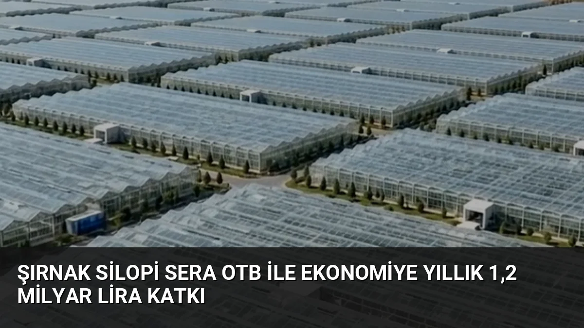 Tarım ve Orman Bakanı İbrahim Yumaklı, Silopi Sera OTB'nin 1,2