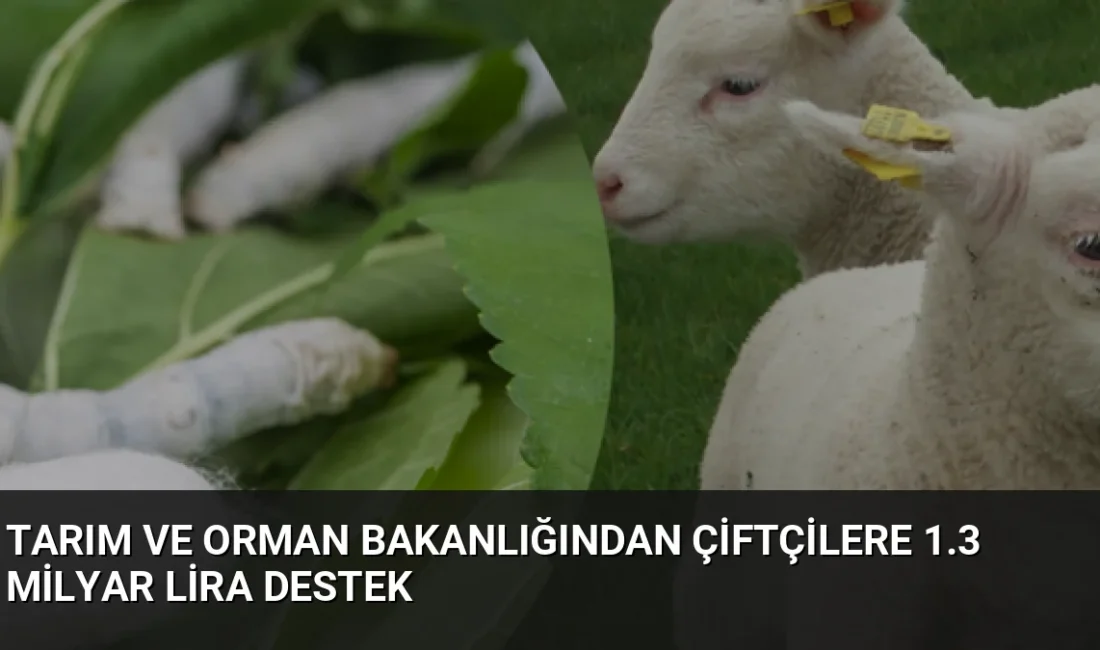 Tarım ve Orman Bakanı İbrahim Yumaklı, 1.3 milyar lirayı aşan