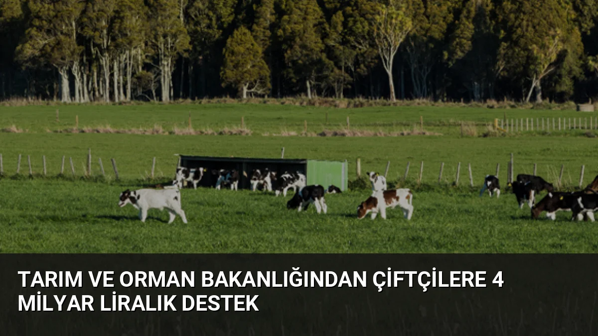 Tarım ve Orman Bakanı İbrahim Yumaklı, 4 milyar liranın üzerindeki