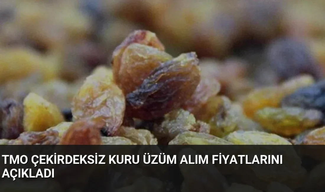 TMO, çekirdeksiz kuru üzüm alım fiyatlarını belirledi. 15 Eylül 2026'da