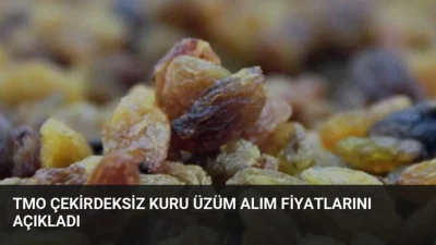 TMO, çekirdeksiz kuru üzüm alım fiyatlarını belirledi. 15 Eylül 2026'da