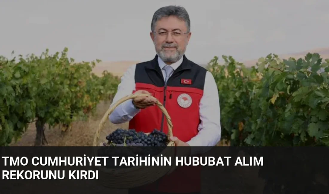 TMO, bu yıl 12,3 milyon ton hububat alımıyla Cumhuriyet tarihinin