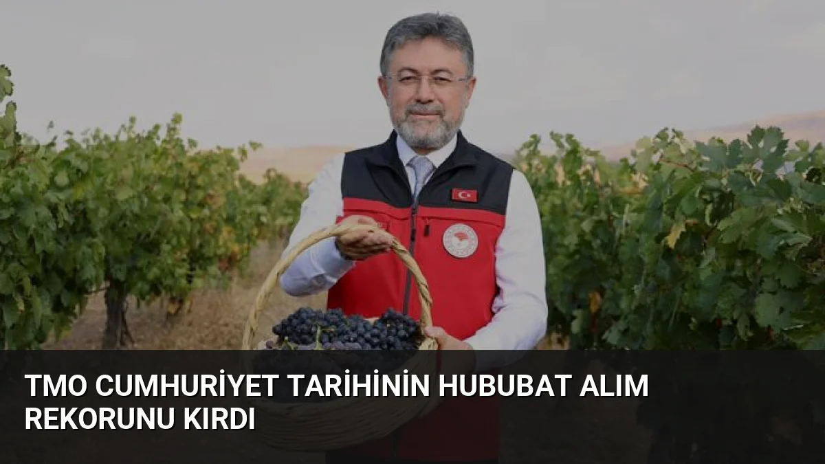 TMO, bu yıl 12,3 milyon ton hububat alımıyla Cumhuriyet tarihinin