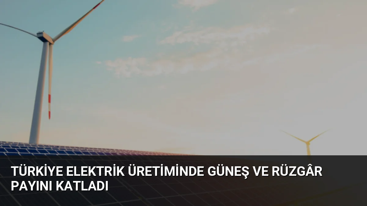 Türkiye'nin elektrik üretiminde güneş enerjisinin payı 28 kat artarken, rüzgâr