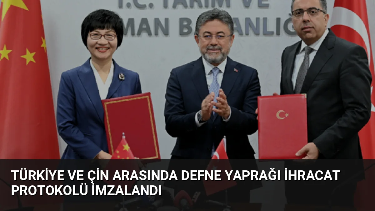 Türkiye ve Çin arasında defne yaprağı ihracatı için protokol imzalandı.