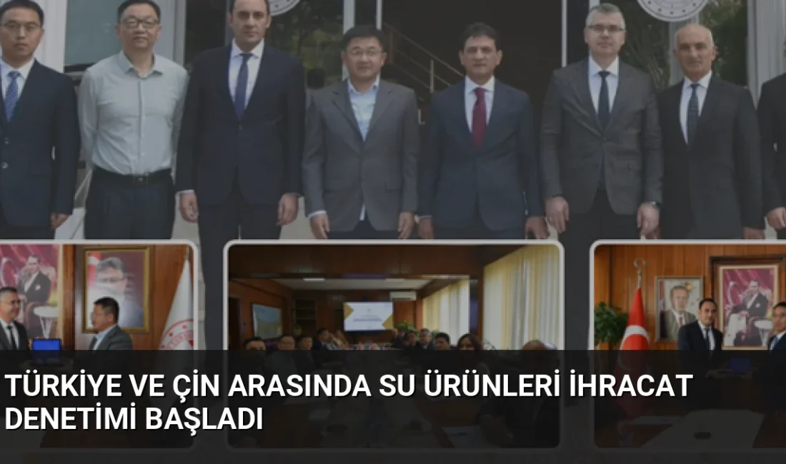 Türkiye ve Çin arasında su ürünleri ihracatına yönelik resmi kontrol