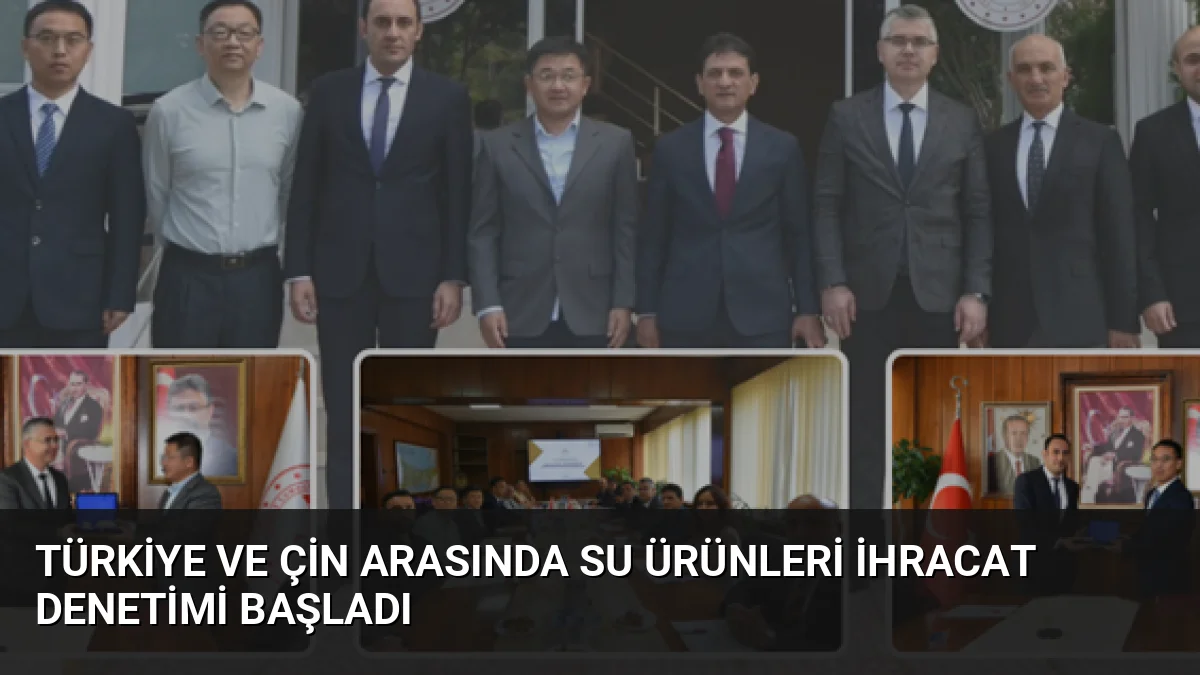 Türkiye ve Çin arasında su ürünleri ihracatına yönelik resmi kontrol
