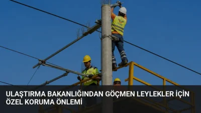 Bakan Uraloğlu, İstanbul Küçükçekmece'deki demiryolu hattında göçmen leylekleri elektrik çarpmasından