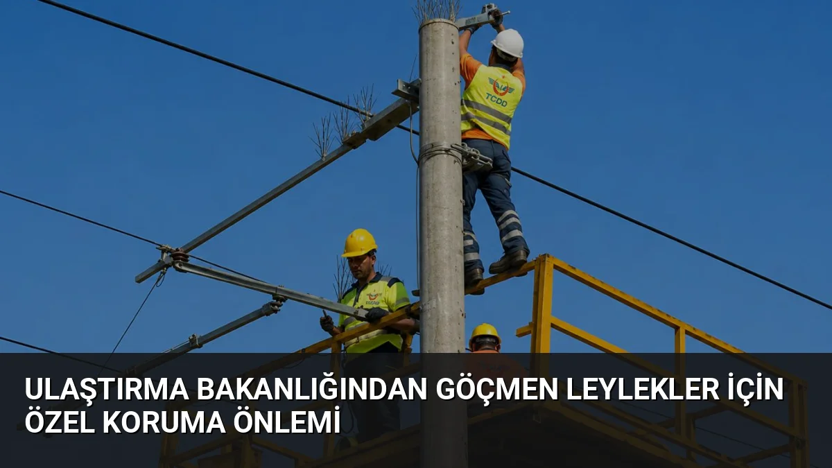 Bakan Uraloğlu, İstanbul Küçükçekmece'deki demiryolu hattında göçmen leylekleri elektrik çarpmasından