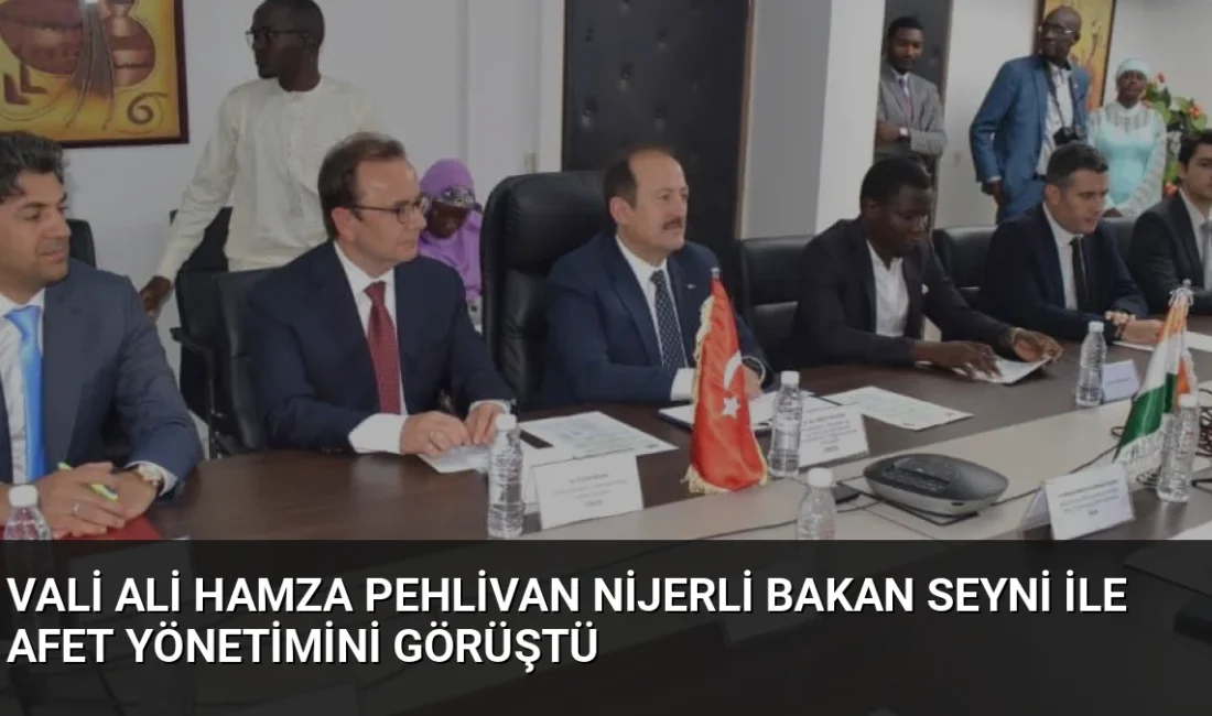 Vali Ali Hamza Pehlivan, Nijer'de Bakan Profesör Sidikou Ramatou Djermakoye