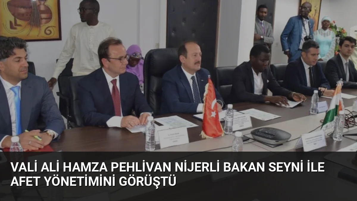 Vali Ali Hamza Pehlivan, Nijer'de Bakan Profesör Sidikou Ramatou Djermakoye