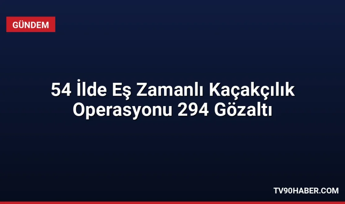 54 ilde düzenlenen kaçakçılık operasyonlarında 294 şüpheli hakkında adli işlem