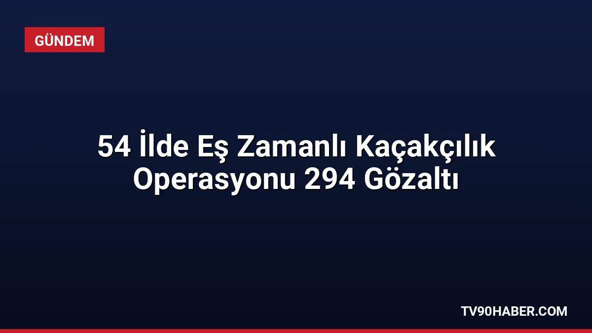 54 ilde düzenlenen kaçakçılık operasyonlarında 294 şüpheli hakkında adli işlem
