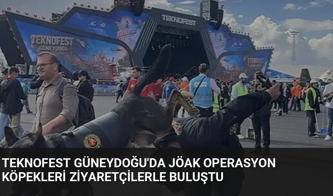 Şanlıurfa'da düzenlenen TEKNOFEST Güneydoğu'da JÖAK bünyesindeki operasyon köpekleri, ziyaretçilerin ve