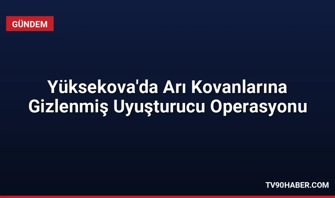 Hakkâri'nin Yüksekova ilçesinde düzenlenen operasyonda arı kovanlarına gizlenmiş 91,1 kg