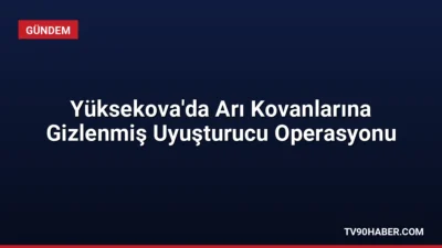 Hakkâri'nin Yüksekova ilçesinde düzenlenen operasyonda arı kovanlarına gizlenmiş 91,1 kg