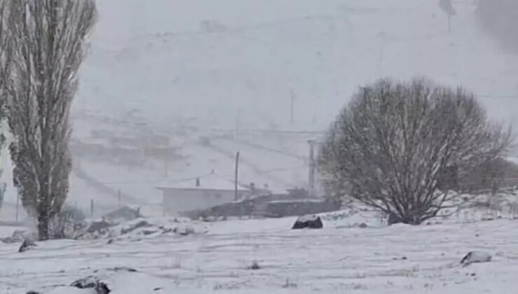 Ardahan’da Kar Yağışı Hayatı Olumsuz Etkiledi