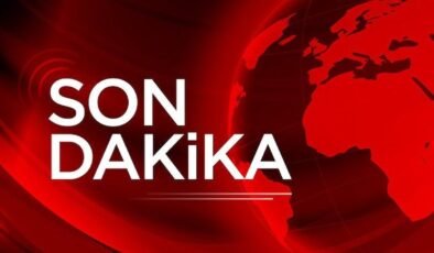 Bakanlık duyurdu: Konya’da yumurta üreticisinde kuş gribi tespit edildi