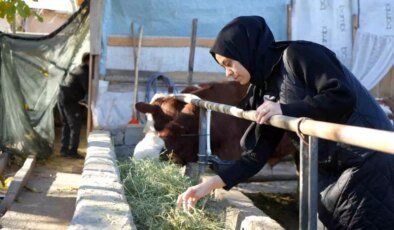 Betül Kara’nın Besi Çiftliği Başarısı