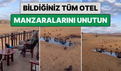 Bildiğiniz Tüm Otel Manzaralarını Unutun: Bir Gezgin Kenya’da Kaldığı Otelin ‘Doğa’ Manzarasını Paylaştı