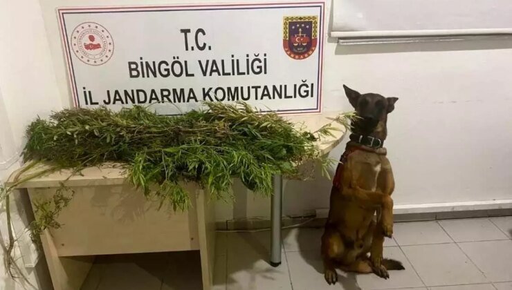 Bingöl’de Uyuşturucu Operasyonu