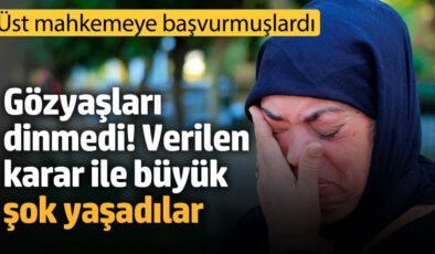 Cezayı az bulup üst mahkemeye başvurdular, ikinci şoku yaşadılar