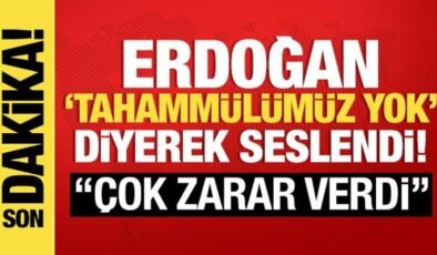 Cumhurbaşkanı Erdoğan ‘tahammülümüz yok’ diyerek seslendi: ‘Onlara tolerans göstermeyiz’