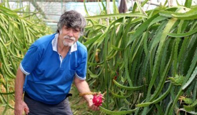 Emekli Çift Ejder Meyvesi Üreterek Yeni Bir Hayat Kurdu