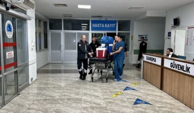 Hamide Tuncel’in Organ Bağışı 3 Hastaya Umut Oldu