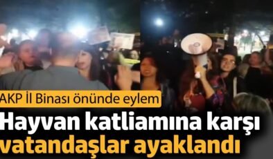 Hayvan katliamına karşı vatandaşlar ayaklandı. AKP İl Binası önünde eylem