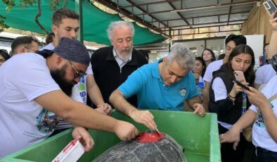 İztuzu’nda 3 Caretta Caretta Denize Bırakıldı