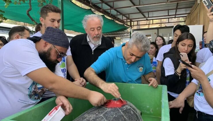 İztuzu’nda 3 Caretta Caretta Denize Bırakıldı