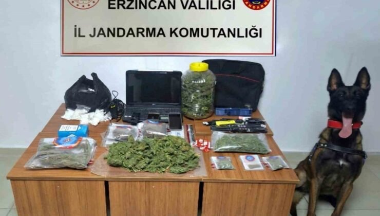 Jandarma istatistikleri açıkladı: 222 şahıs yakalandı