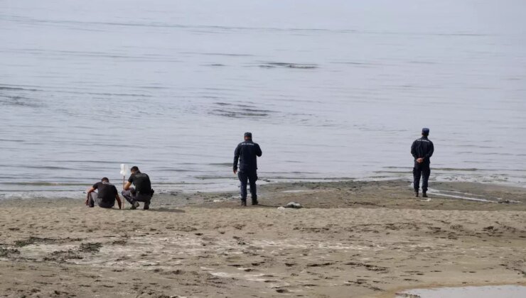 Kayıp Rojin’i arama çalışmaları bir noktada ağırlaştı