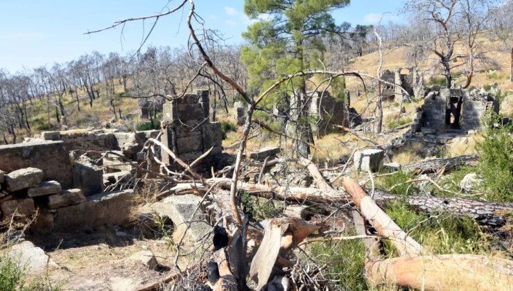 Manavgat’taki Antik Kent Yangınından Ziyan Gördü