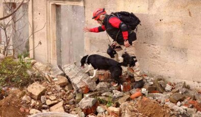 Milletlerarası Arama Kurtarma Köpekleri Şampiyonası Çekmeköy’de Gerçekleşti