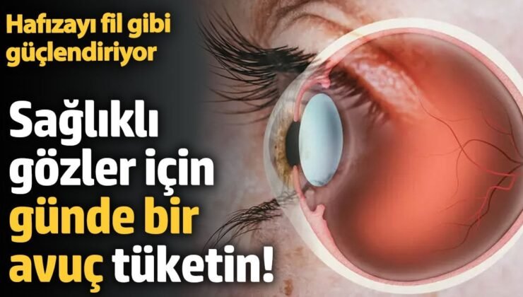 Sağlıklı gözler için günde bir avuç tüketin!  Hafızayı fil gibi güçlendiriyor