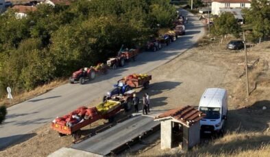 Taze ceviz toptan 25 liraya satılıyor!