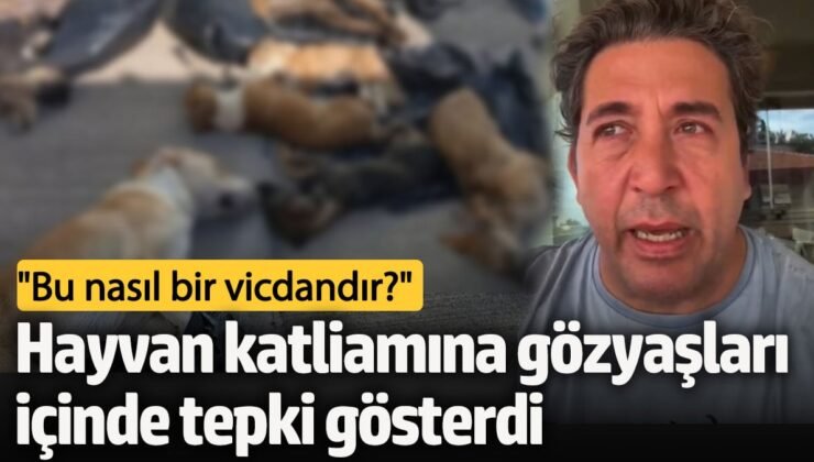 Ünlü oyuncu Emre Kınay, hayvan katliamına gözyaşları içinde tepki gösterdi “Bu nasıl bir vicdandır?”